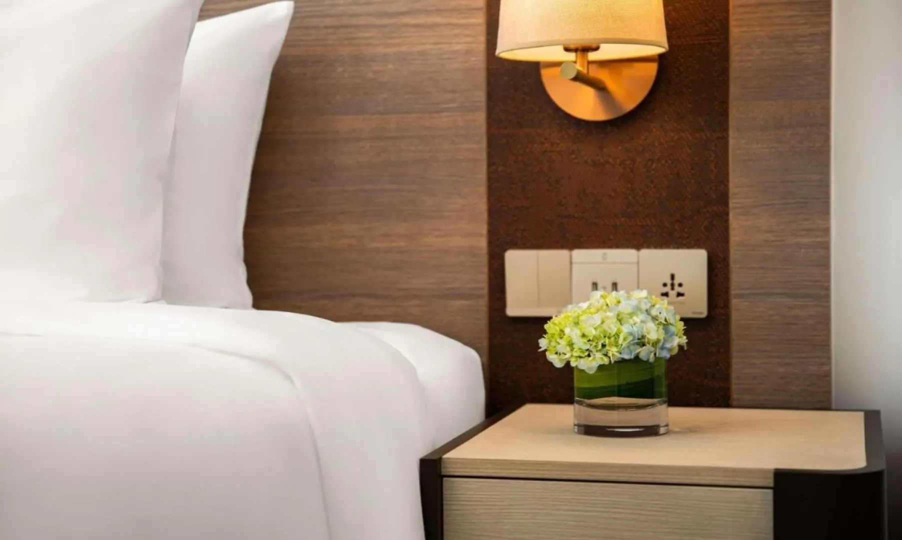 Hotel Grand Grace Plaza Near Igi Airport Delhi New Delhi